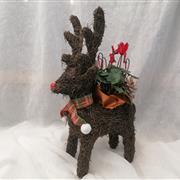 Festive Reindeer Planter